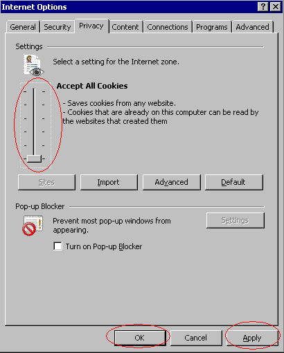 Internet Explorer Cookies - Privacy